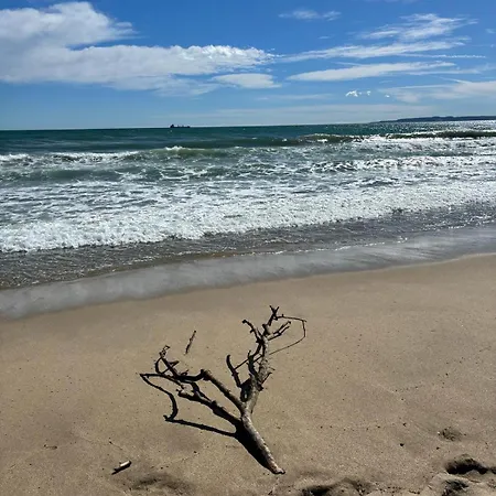 Lägenhet Tamy Emporda *